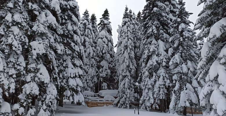 Bursa’da tahminler değişti, kar yağışı hafta sonuna kadar sürecek