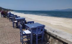 Bursa’da müsilaj manzaralı sahil keyfi