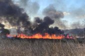 İznik Gölü’nde Korkutan Yangın: 60 Dönüm Arazi Küle Döndü