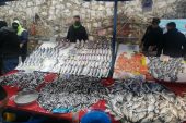 Balık Fiyatlarını Soğuk Vurdu