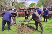 Kestel’de 2021’nci Fidan Toprakla Buluştu