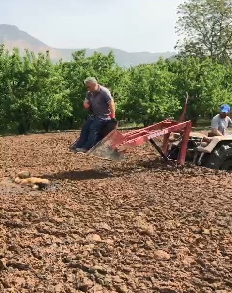 Bursa’da bir meyve bahçesinin