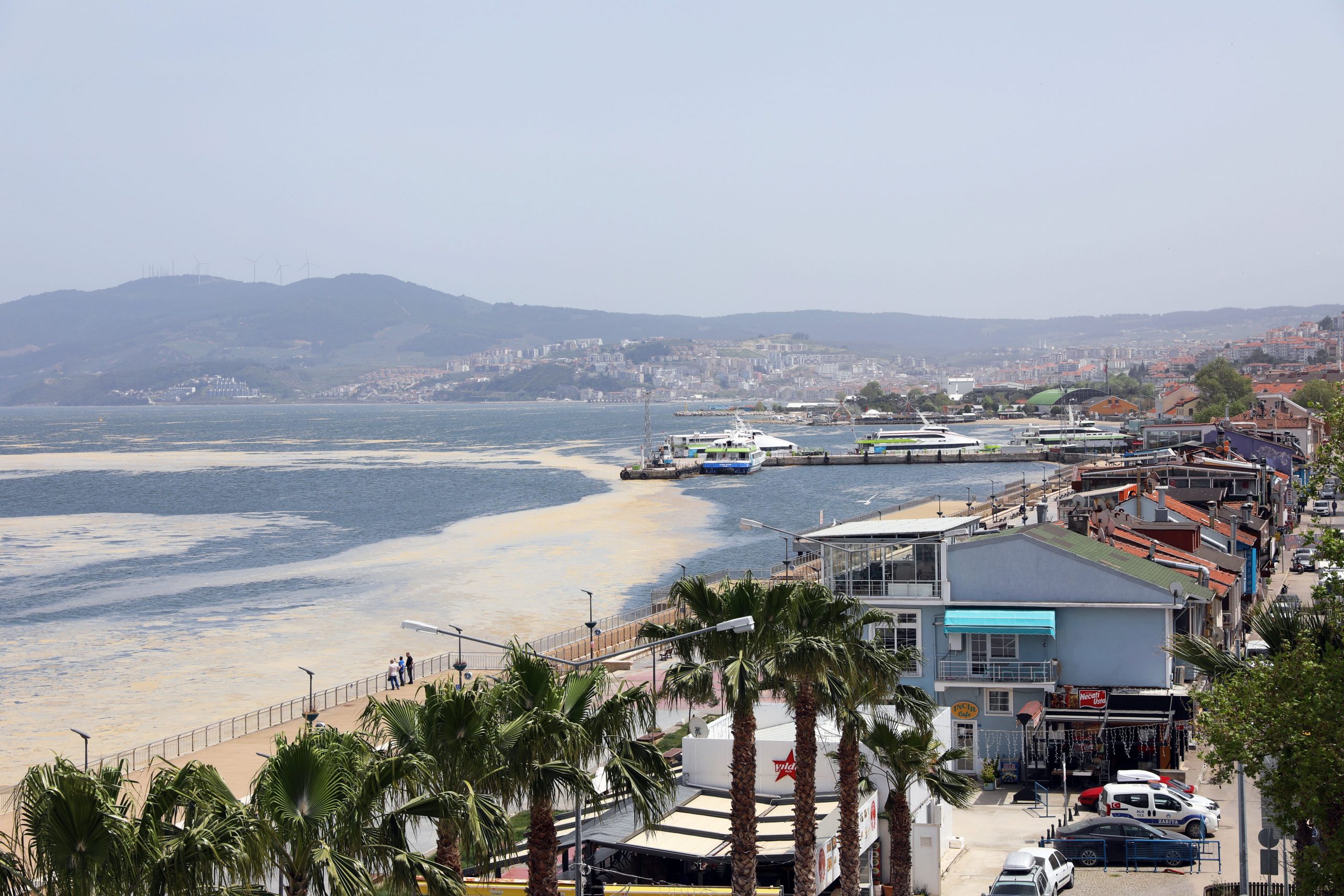 Mudanya Belediyesi, Marmara’da yayılımı