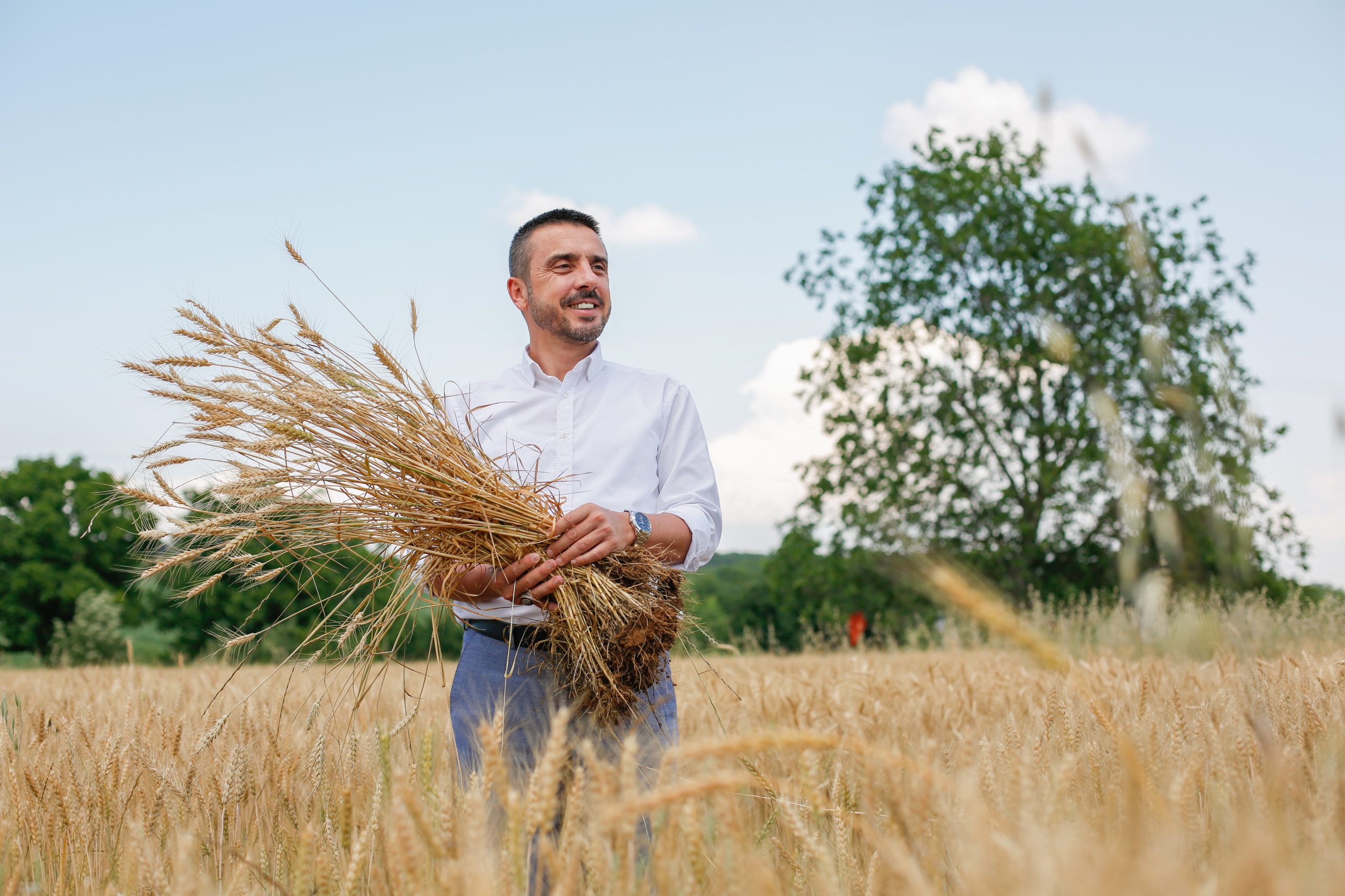 Kestel Belediyesi Türkiye’nin en ucuz ekmeğine zam yapmamak için kendi buğdayını ekiyor