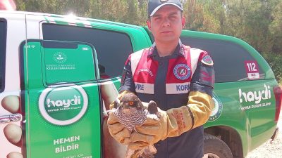 Kestel’deki Yaralı Kılıç Kanat Şahin’ine Jandarma’dan Şefkat Eli