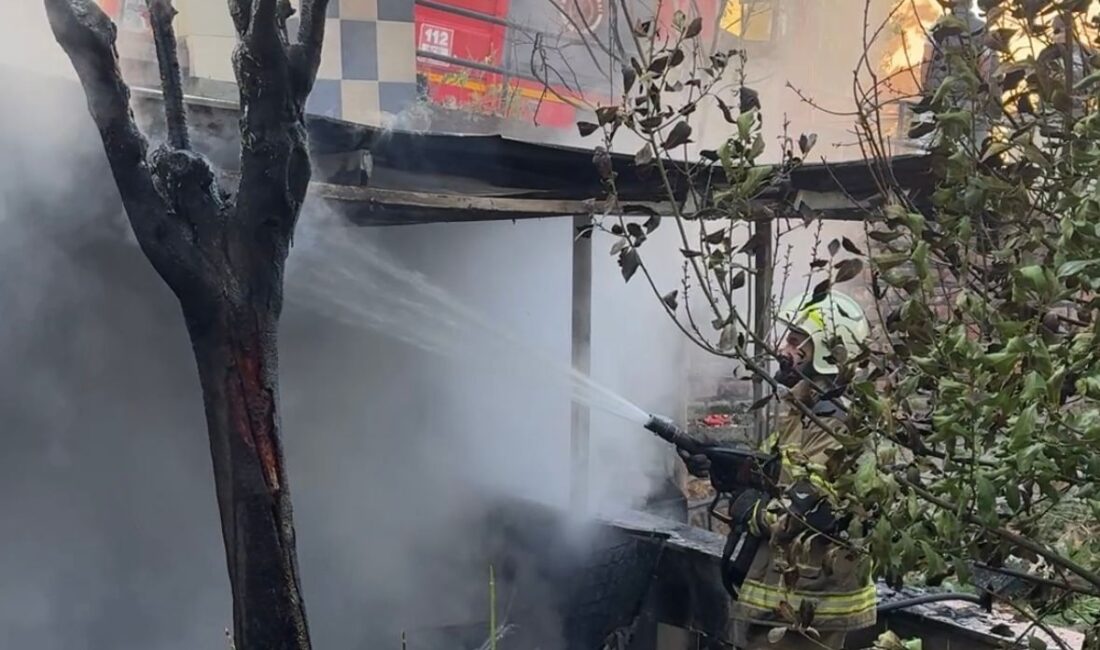 Kestel Vanimehmet Mahallesi Öğretmenevi Sokak’ta bulunan, kullanılmayan Öğretmenevi’nin bahçesinde yangın
